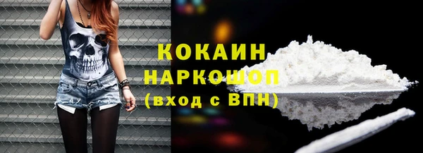 индика Алзамай