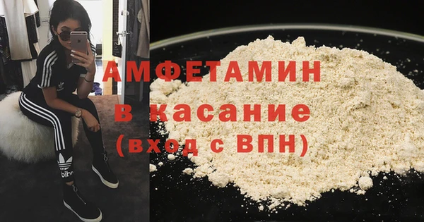 индика Алзамай