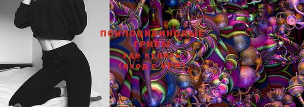индика Алзамай